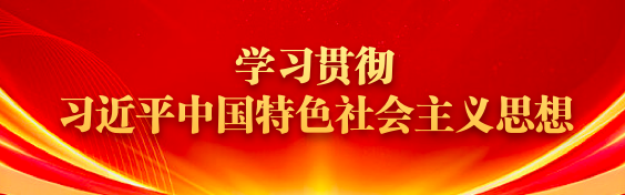 学习贯彻习近平中国特色社会主义思想